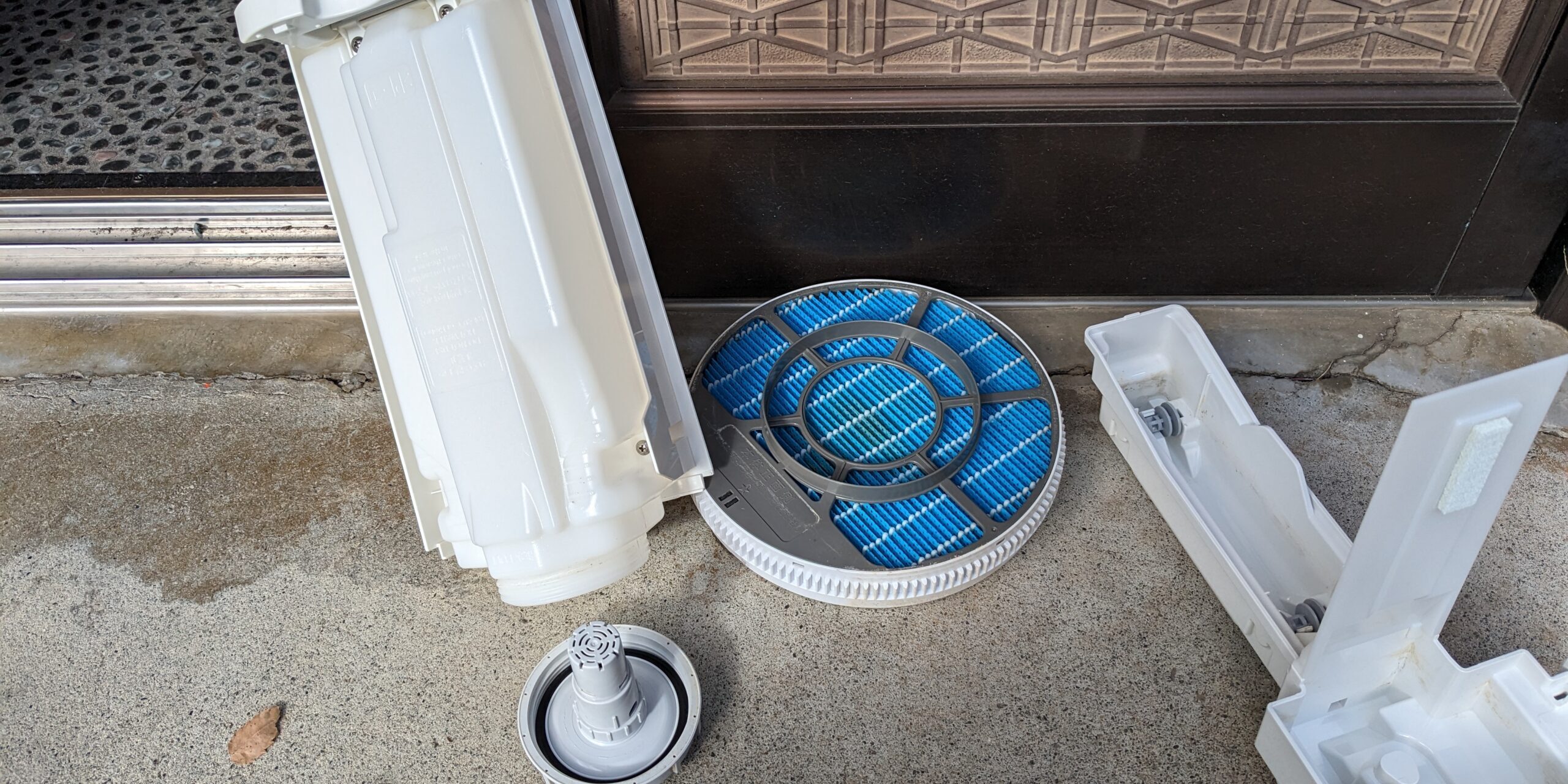 PXL_20231101_050448962